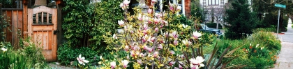 06rockridge-yard3_99