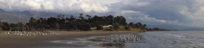58santa-barbara-canov02o-b