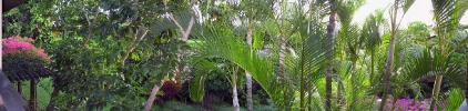 41hawaii-maui10-20-02q