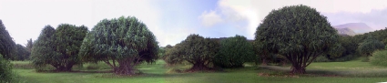 45maui06-h2-10-24-02