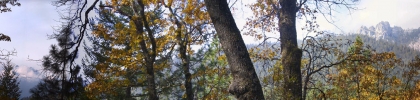 72castle-crags-calif-nov_03