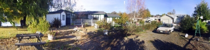 97clearlake-calif-dan-11_05