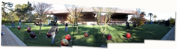 98sf-de-young-panorama_b11_05