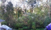 backyard-orinda2009