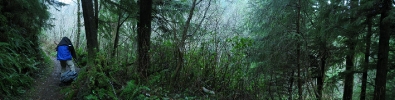 jeff-oregon-oswald-trail-pano01_10